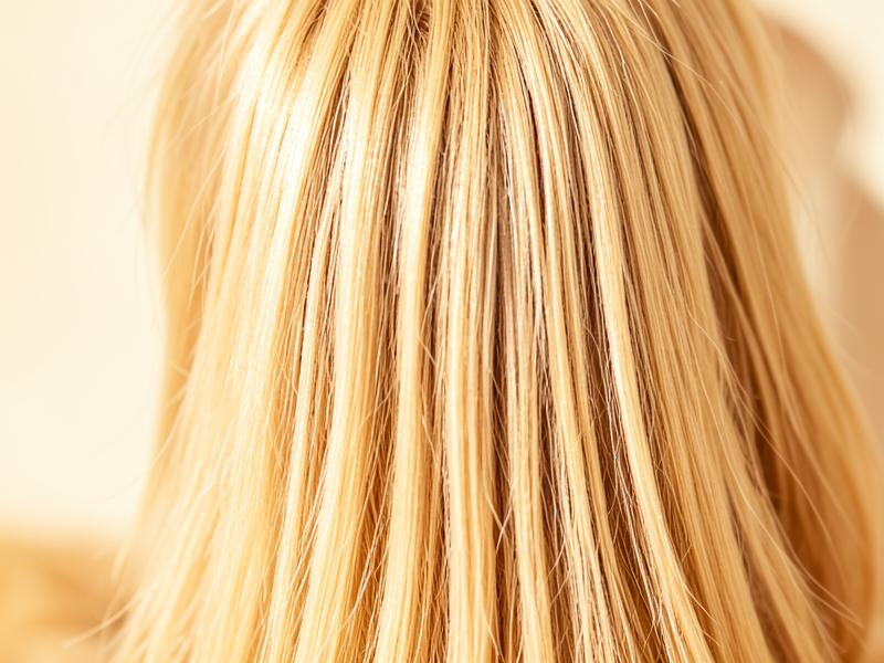 Long flowing silky dog hair strands